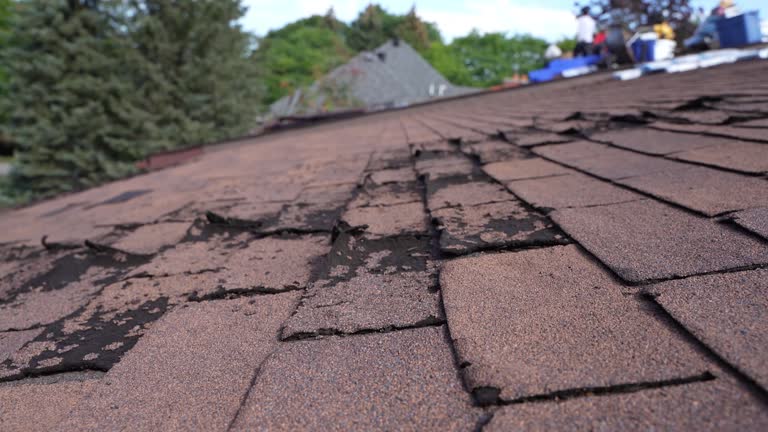 Best Asphalt Shingles Roofing  in USA